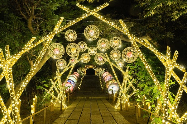 【八千代台発】キラキラに輝く よみうりランド ジュエルミネーション&箱根ガラスの森美術館<コースNo.24-1096-C>(京成トラベルサービス)1